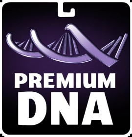 Premium DNA Toys 